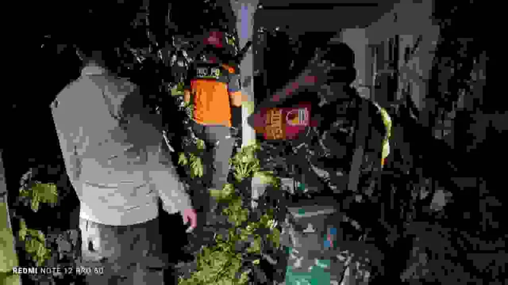 Evakuasi Pohon Tumbang yang Menimpa Rumah di Jatiroto Dilakukan Bersama oleh Petugas Keamanan dan Penanggulangan Bencana