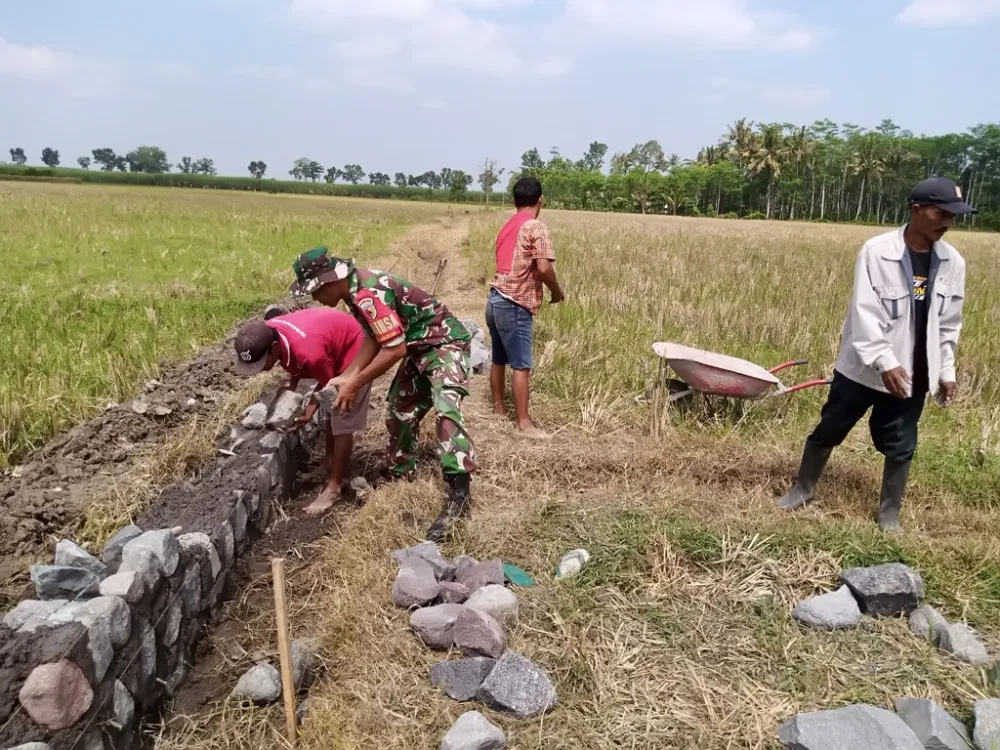 Infrastruktur Pertanian Diperkuat, Babinsa dan Petani di Desa Sumbersari Gotong Royong Bangun Saluran Irigasi