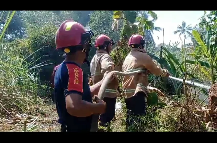 Penanganan Kebakaran Lahan tebu di Dusun Pakel RT 16 RW 06  Desa Tanggung Kecamatan Padang