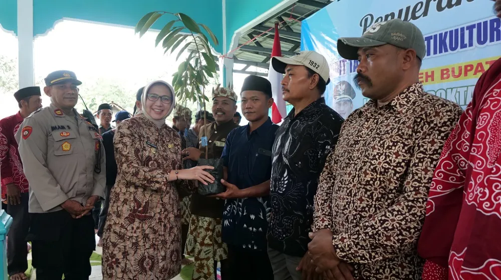 Kiat Lumajang Mengangkat Potensi Hortikultura Durian Montong di Wilayah Pegunungan