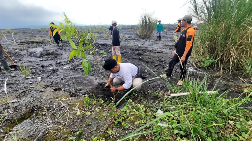 Upaya Terpadu Pulihkan Ekosistem Pasca Erupsi Gunung Semeru di Lumajang