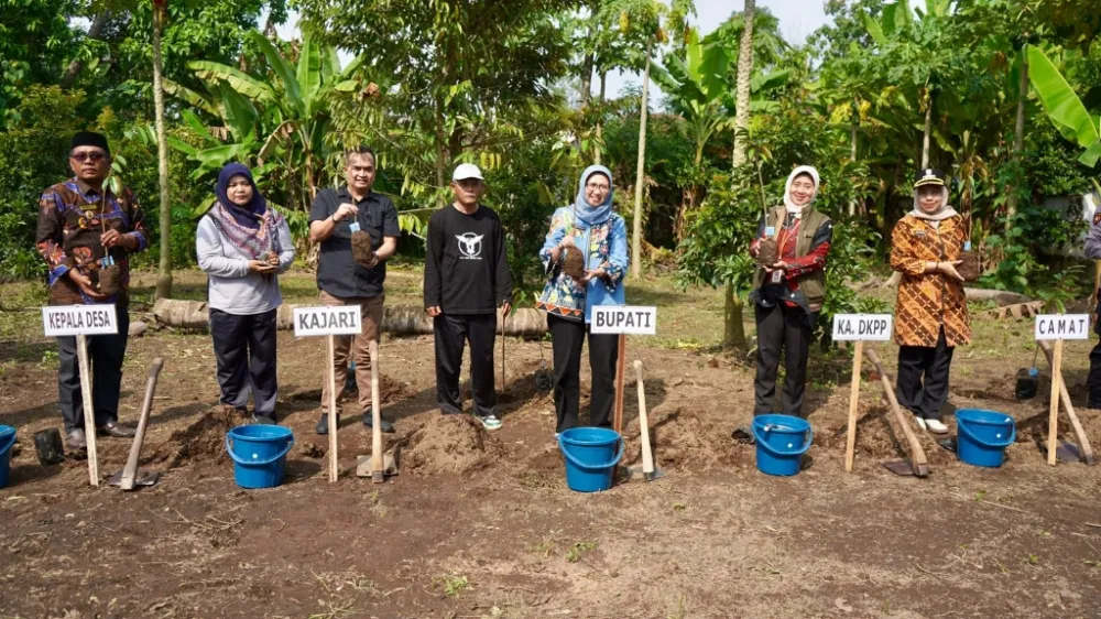 Dari Penanaman hingga Perawatan, Pemkab Lumajang Bantu Petani Kuasai Budidaya Durian