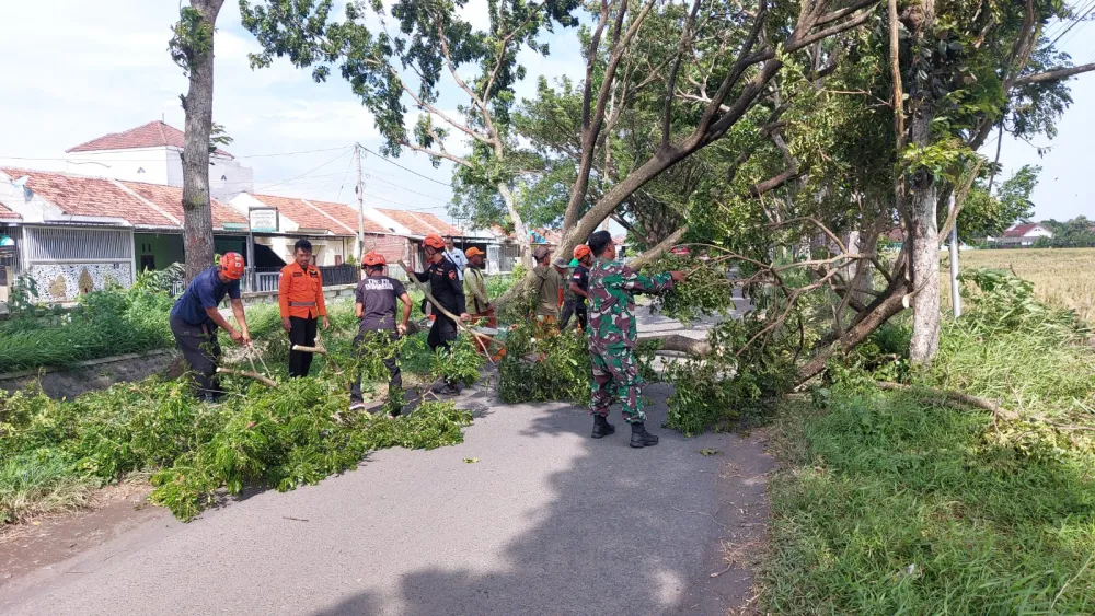 Jaga Keselamatan, BPBD Lumajang Berikan Imbauan Terkait Kondisi Cuaca yang Ekstrem