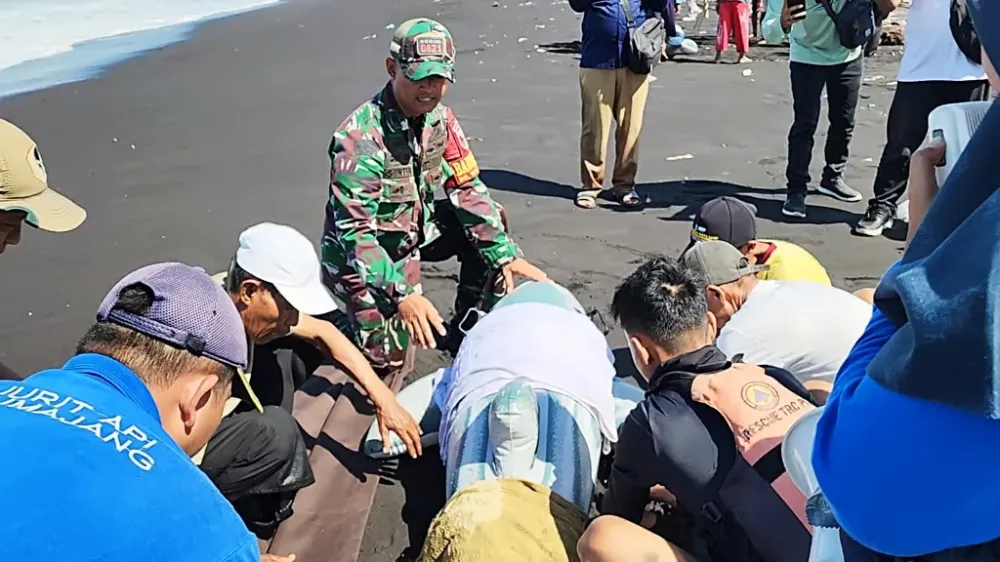 Masyarakat Terlatih, Mamalia Laut Terlindungi