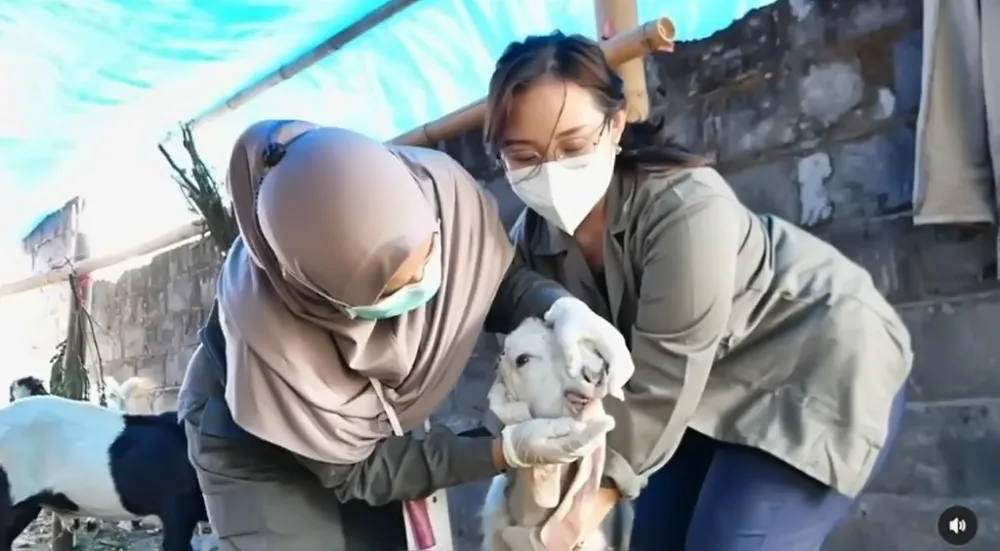 Pemkab Lumajang Tetap Berupaya Agar Harga Hewan Qurban Terjangkau Bagi Masyarakat