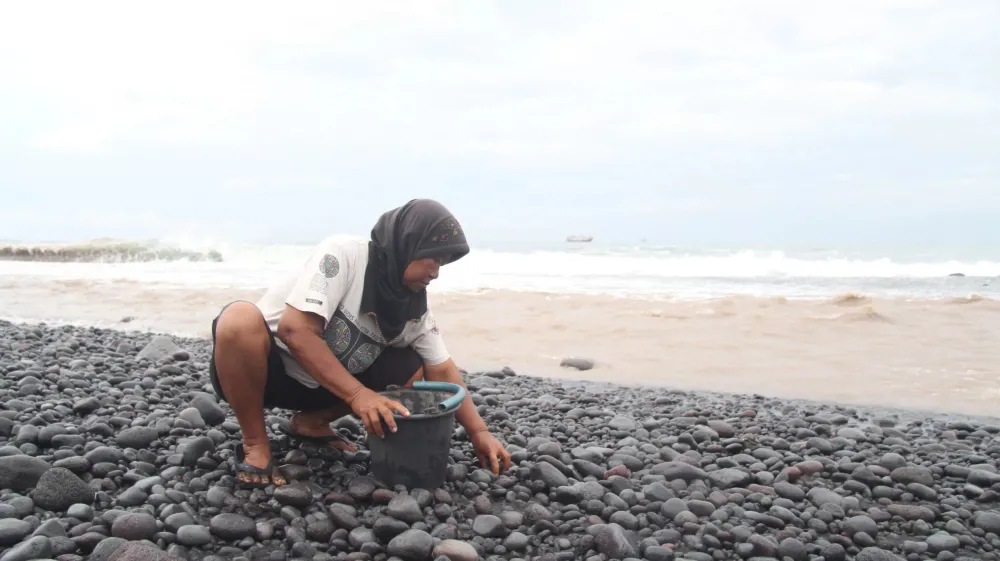 Buruh Batu Pantai Selatan Lumajang: Bertaruh Nyali di Tengah Ombak Demi Rupiah