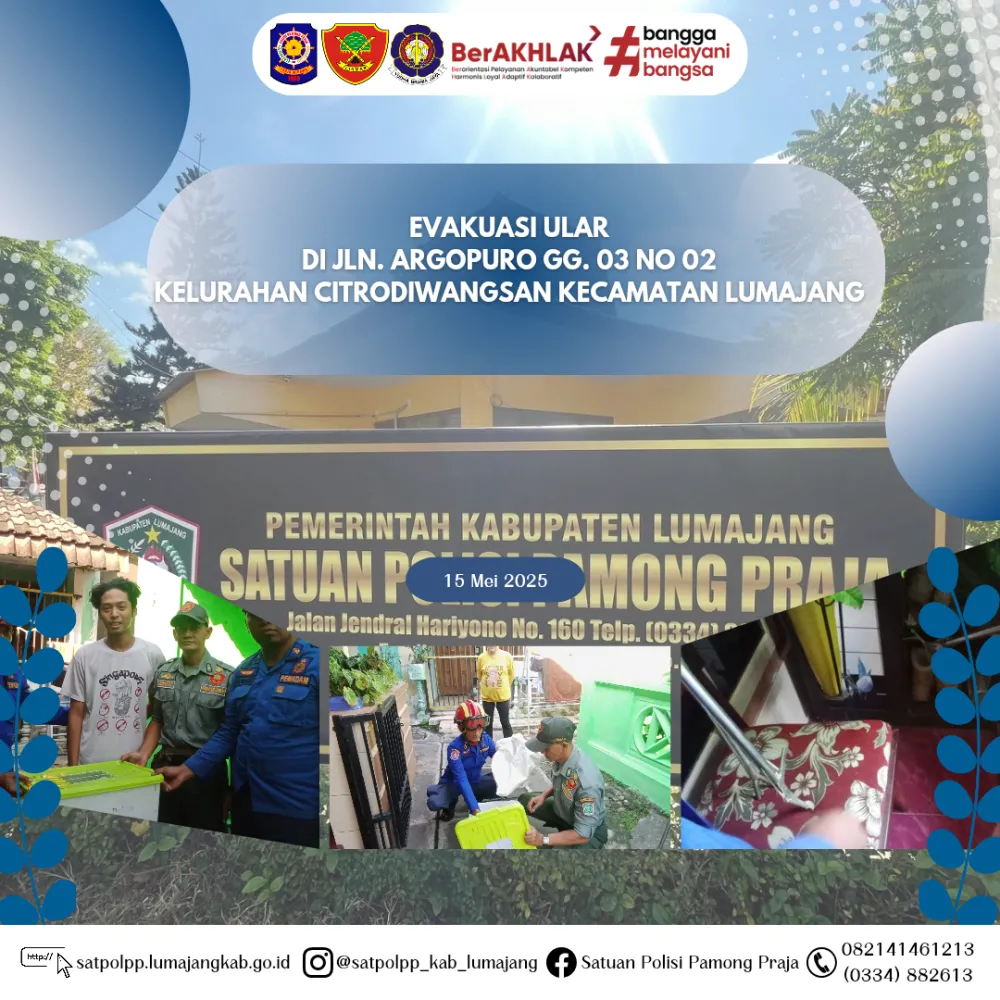 Evakuasi Ular di Jln. Argopuro gg. 03 no 02 Kelurahan Citrodiwangsan Kecamatan Lumajang