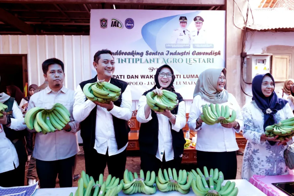 Cold Storage Perkuat Rantai Pasok Pisang Lumajang ke Pasar Modern