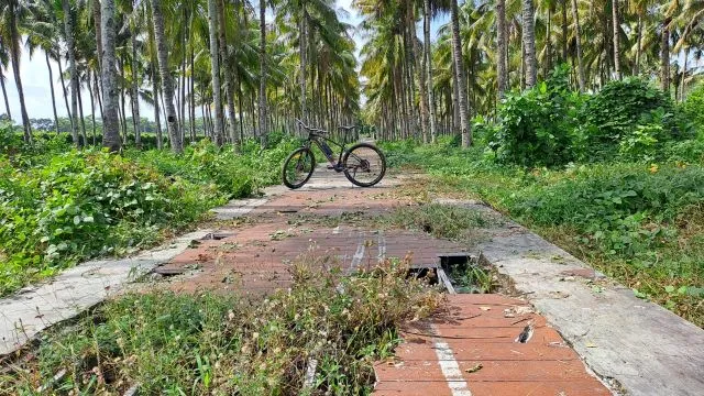 Jalan Wisata Selokambang Lumajang Dari Viral Sampai Ambyar